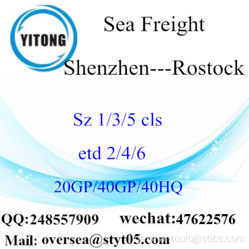 Shenzhen Port Sea Freight Versand nach Rostock